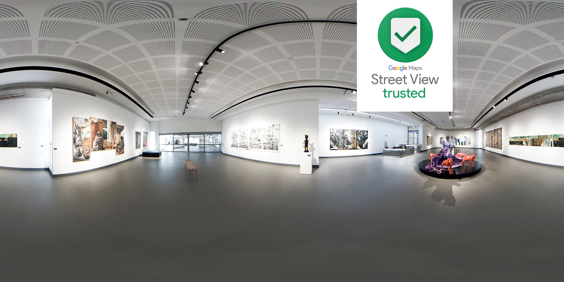 Google Trusted Street View Photographer