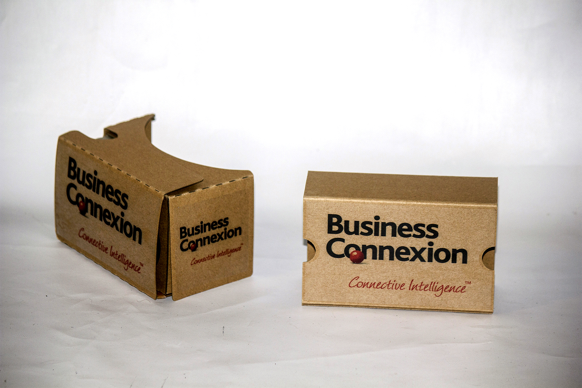 Custom Branded Google Cardboard